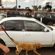 Illustration for article titled What's A Good Car For Smuggling?
